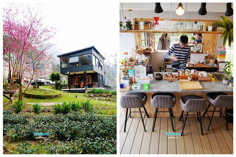 嘉義阿里山「山角鐵茶屋」｜隱藏在茶園間的新潮茶屋，氣氛一流茶飲點心也很棒！