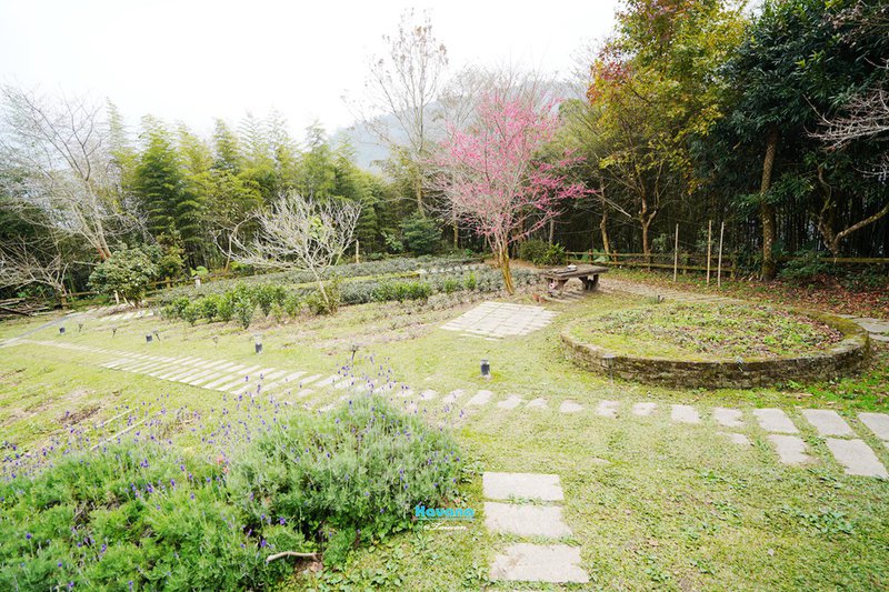 嘉義阿里山「山角鐵茶屋」｜隱藏在茶園間的新潮茶屋，氣氛一流茶飲點心也很棒！