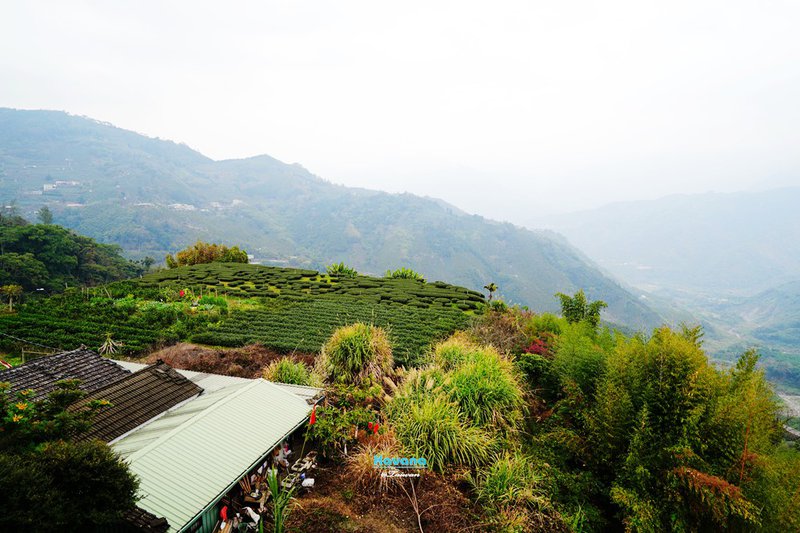 嘉義阿里山「山角鐵茶屋」｜隱藏在茶園間的新潮茶屋，氣氛一流茶飲點心也很棒！