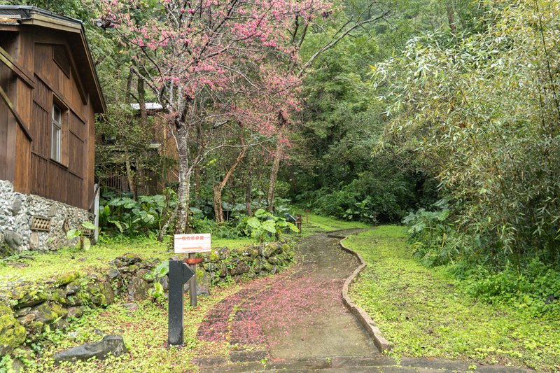 太魯閣山月村，峽谷中的小木屋，體驗部落文化與生態之美！