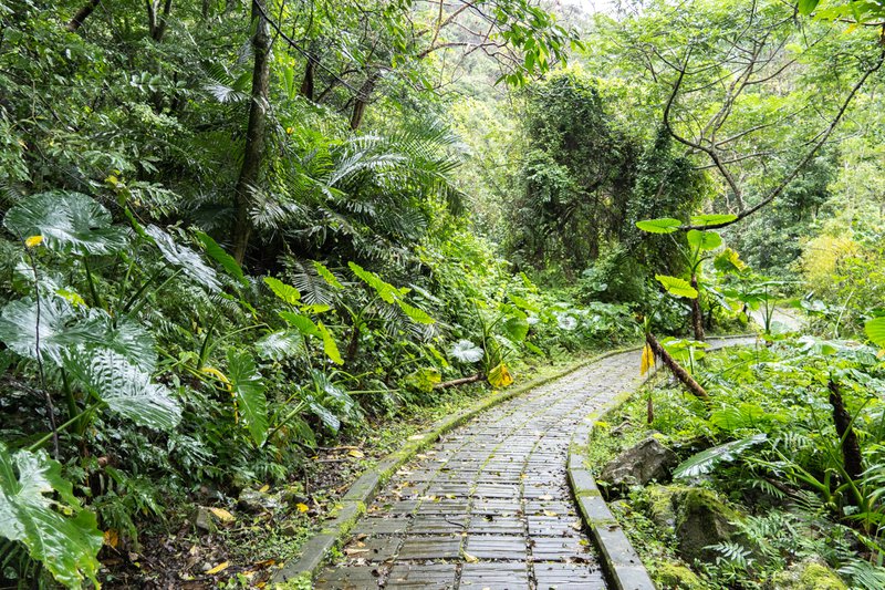 太魯閣山月村，峽谷中的小木屋，體驗部落文化與生態之美！