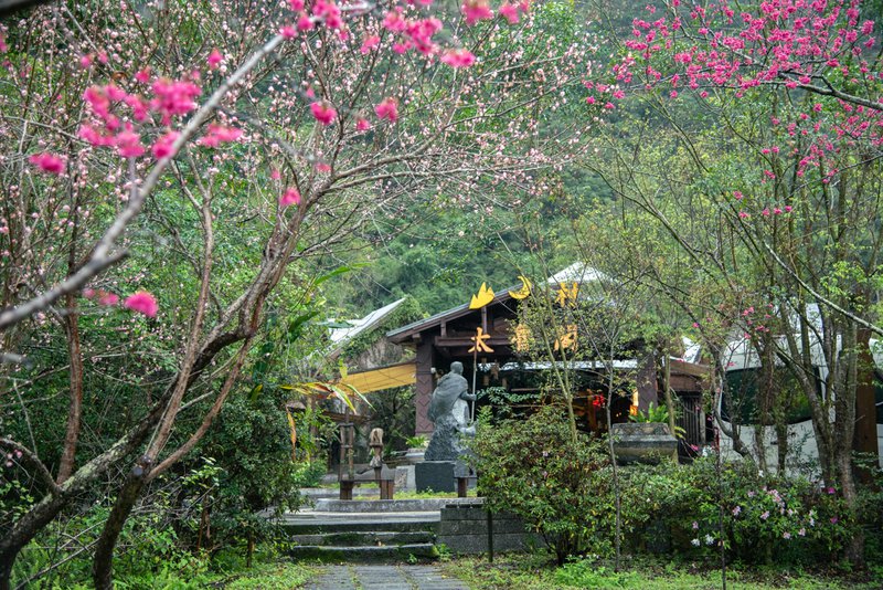 太魯閣山月村，峽谷中的小木屋，體驗部落文化與生態之美！