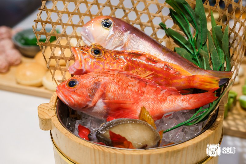 新竹無菜單鐵板燒，野生活龍蝦三吃、熊本A5和牛、北海道生食級干貝，約會慶生推薦