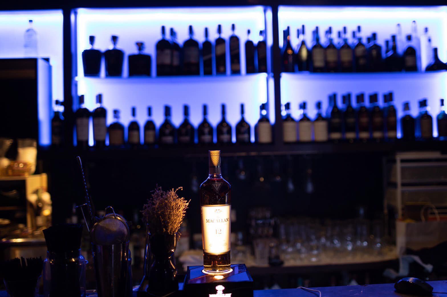 272518827_498824571579477_8361867501387628595_n