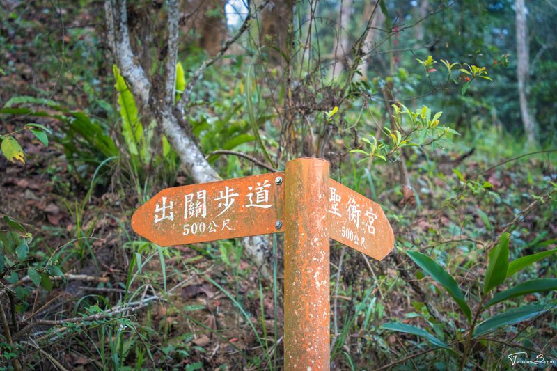 苗栗薑麻園瞭望台｜輕鬆到達雲海觀賞點！夕陽下的雲海絕景