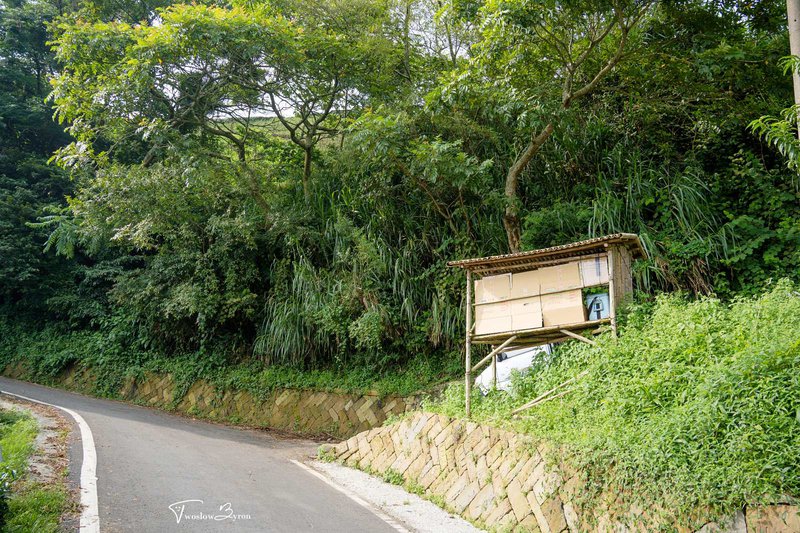 1314觀景台｜一生一世愛情塔和滿山的茶園，情侶必拍的熱門景點