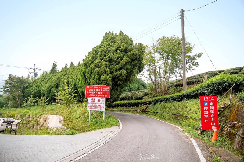 1314觀景台｜一生一世愛情塔和滿山的茶園，情侶必拍的熱門景點