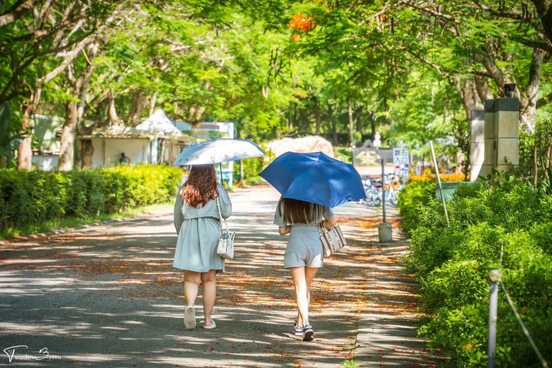 花蓮雲山水｜夢幻湖、跳石瀑布和一大片的落羽松，任何季節都有滿滿的美景