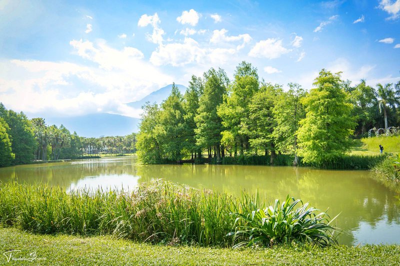 花蓮雲山水｜夢幻湖、跳石瀑布和一大片的落羽松，任何季節都有滿滿的美景