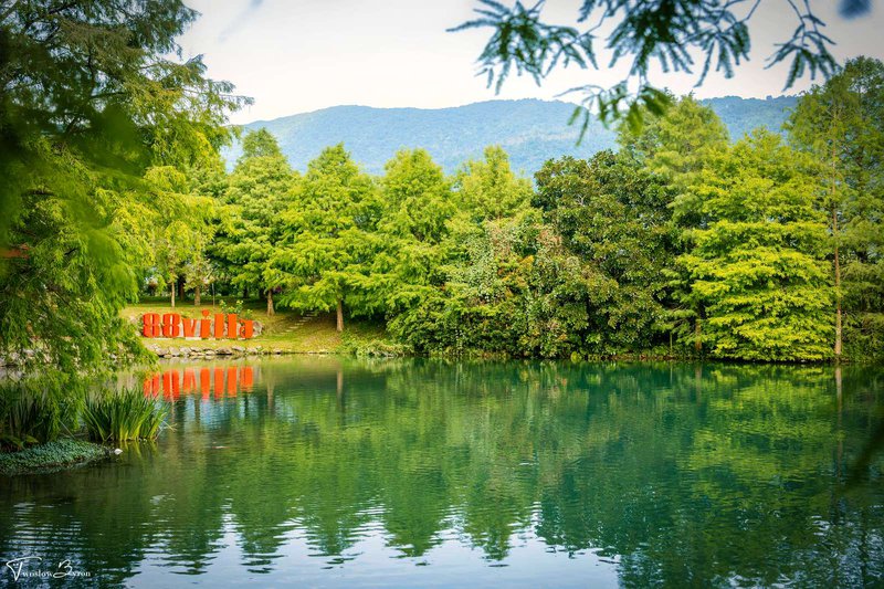 花蓮雲山水｜夢幻湖、跳石瀑布和一大片的落羽松，任何季節都有滿滿的美景