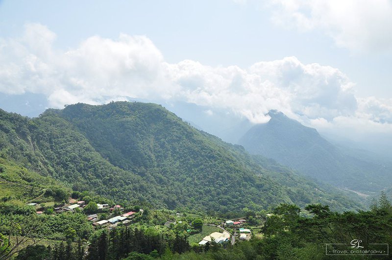 嘉義．阿里山森林遊樂區 | 阿里山、奮起湖 |