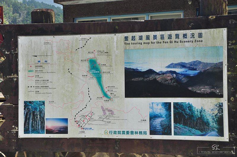 嘉義．阿里山森林遊樂區 | 阿里山、奮起湖 |
