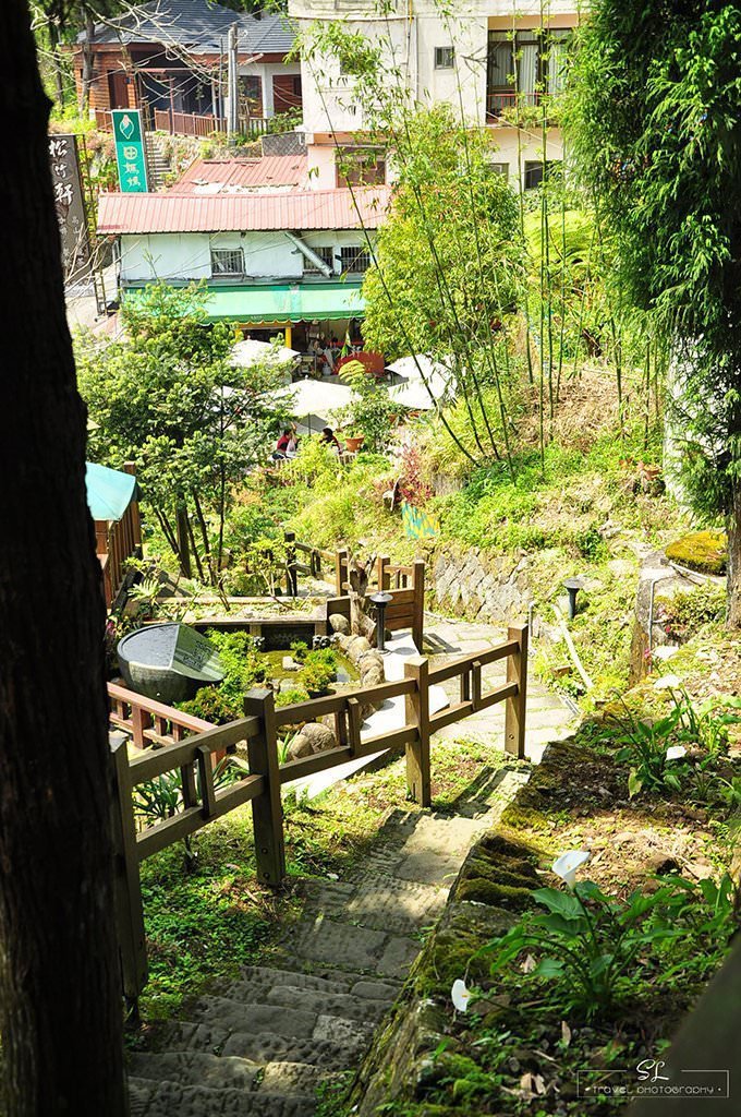 嘉義．阿里山森林遊樂區 | 阿里山、奮起湖 |