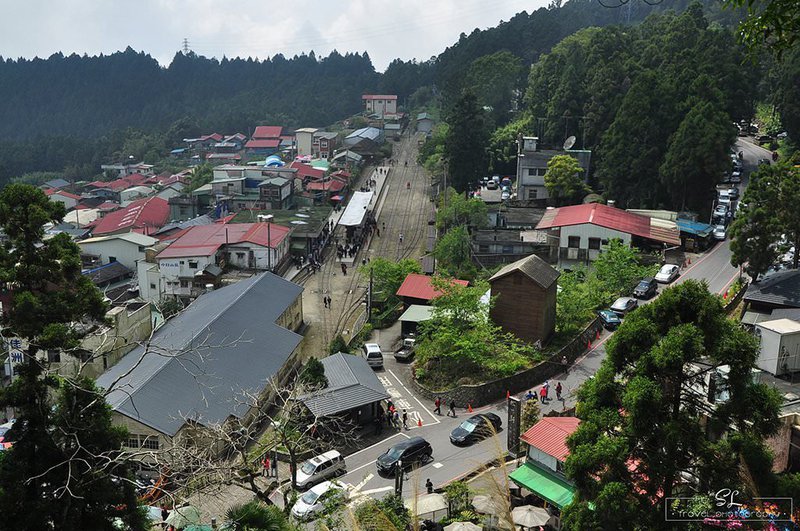嘉義．阿里山森林遊樂區 | 阿里山、奮起湖 |