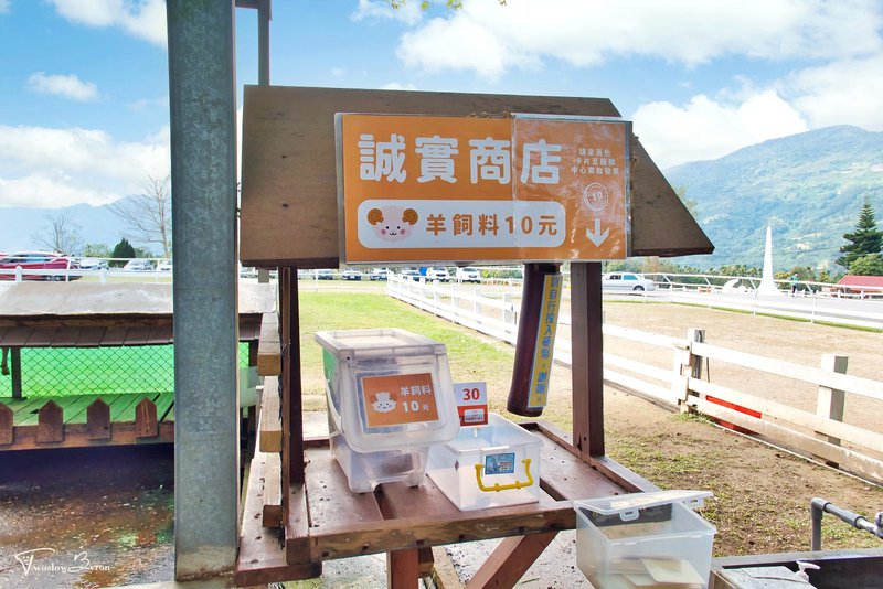 初鹿牧場｜牧草餵食乳牛和可愛小動物，台東必去親子牧場
