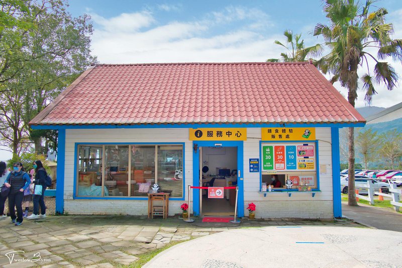 初鹿牧場｜牧草餵食乳牛和可愛小動物，台東必去親子牧場