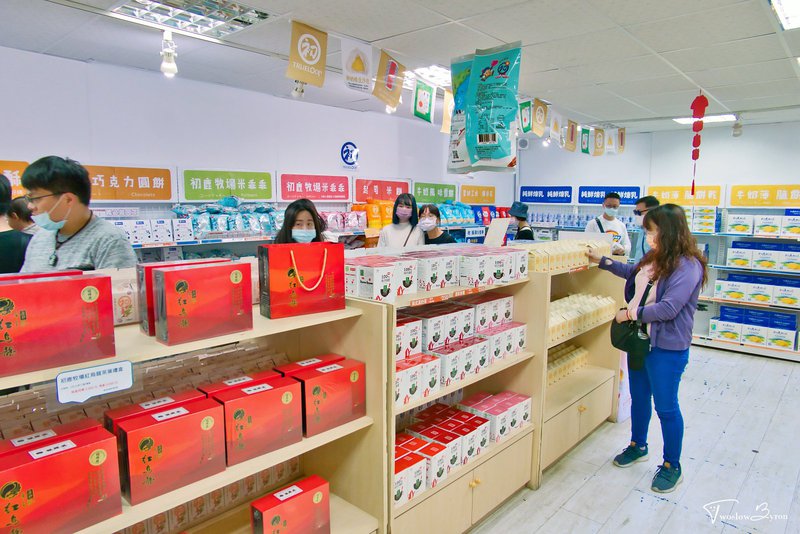 初鹿牧場｜牧草餵食乳牛和可愛小動物，台東必去親子牧場