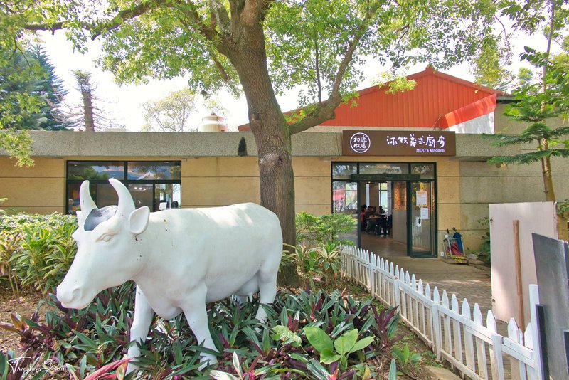 初鹿牧場｜牧草餵食乳牛和可愛小動物，台東必去親子牧場