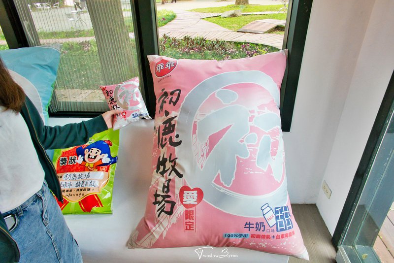 初鹿牧場｜牧草餵食乳牛和可愛小動物，台東必去親子牧場